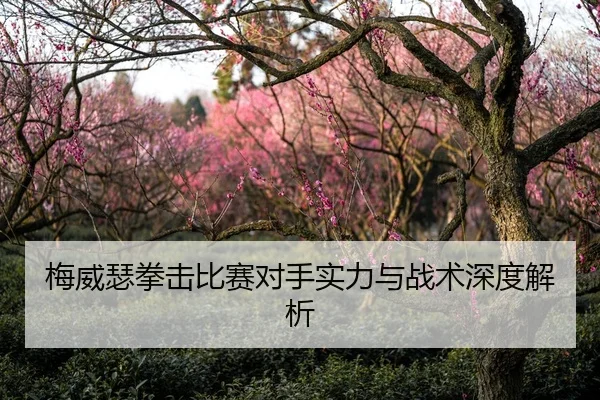 梅威瑟拳击比赛对手实力与战术深度解析